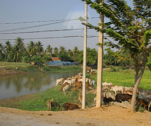 0317 Phitsanulok onderweg.JPG